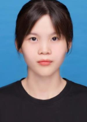 ������Ƭ