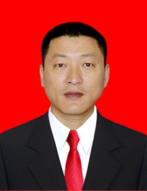 ������Ƭ