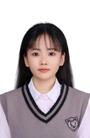 ������Ƭ