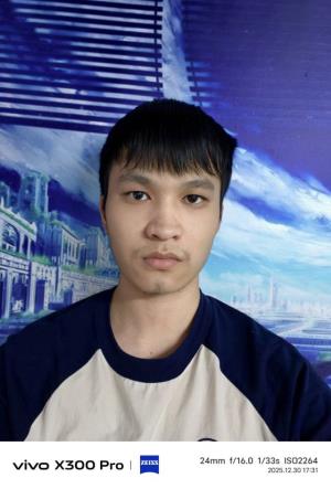 ������Ƭ