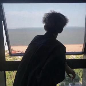 ������Ƭ